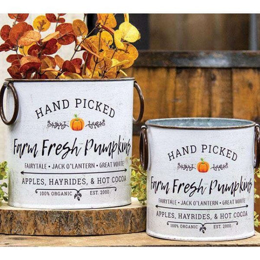 Farm Fresh Pumpkins Buckets, Set Of 2 - Home Treasures Co