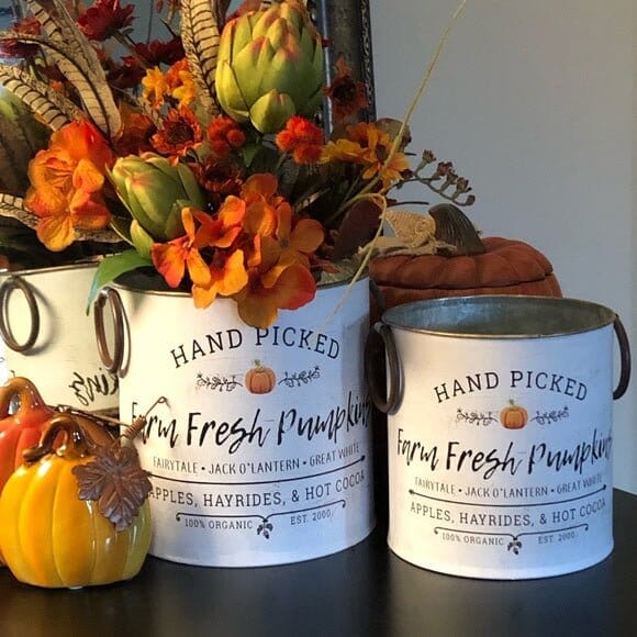 Farm Fresh Pumpkins Buckets, Set Of 2 - Home Treasures Co
