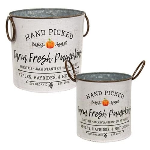 Farm Fresh Pumpkins Buckets, Set Of 2 - Home Treasures Co