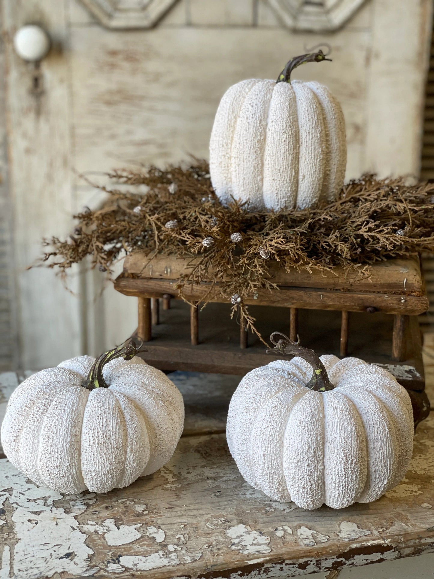 Full Moon Pumpkins - Home Treasures Co