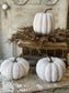 Full Moon Pumpkins - Home Treasures Co
