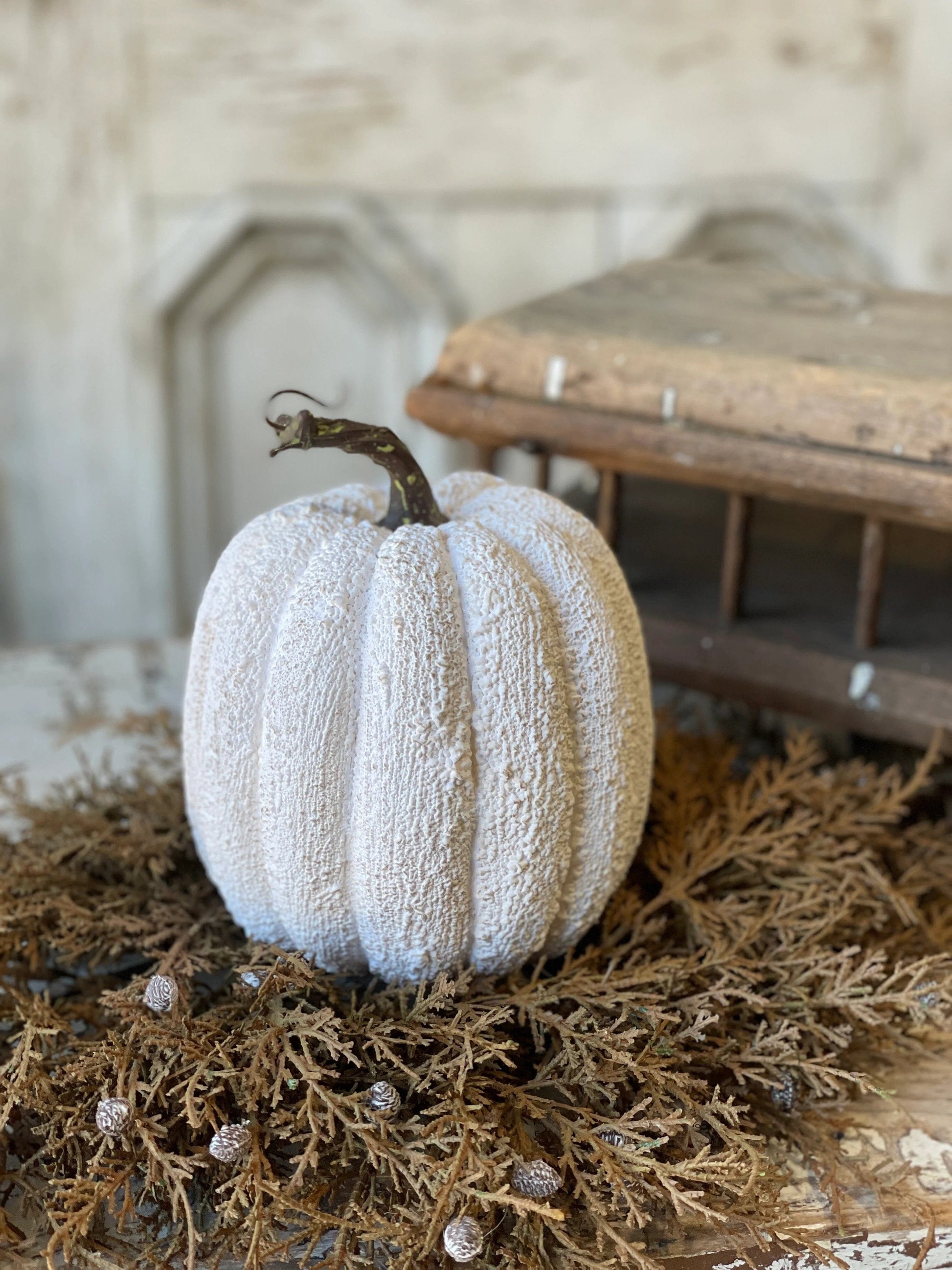 Full Moon Pumpkins - Home Treasures Co