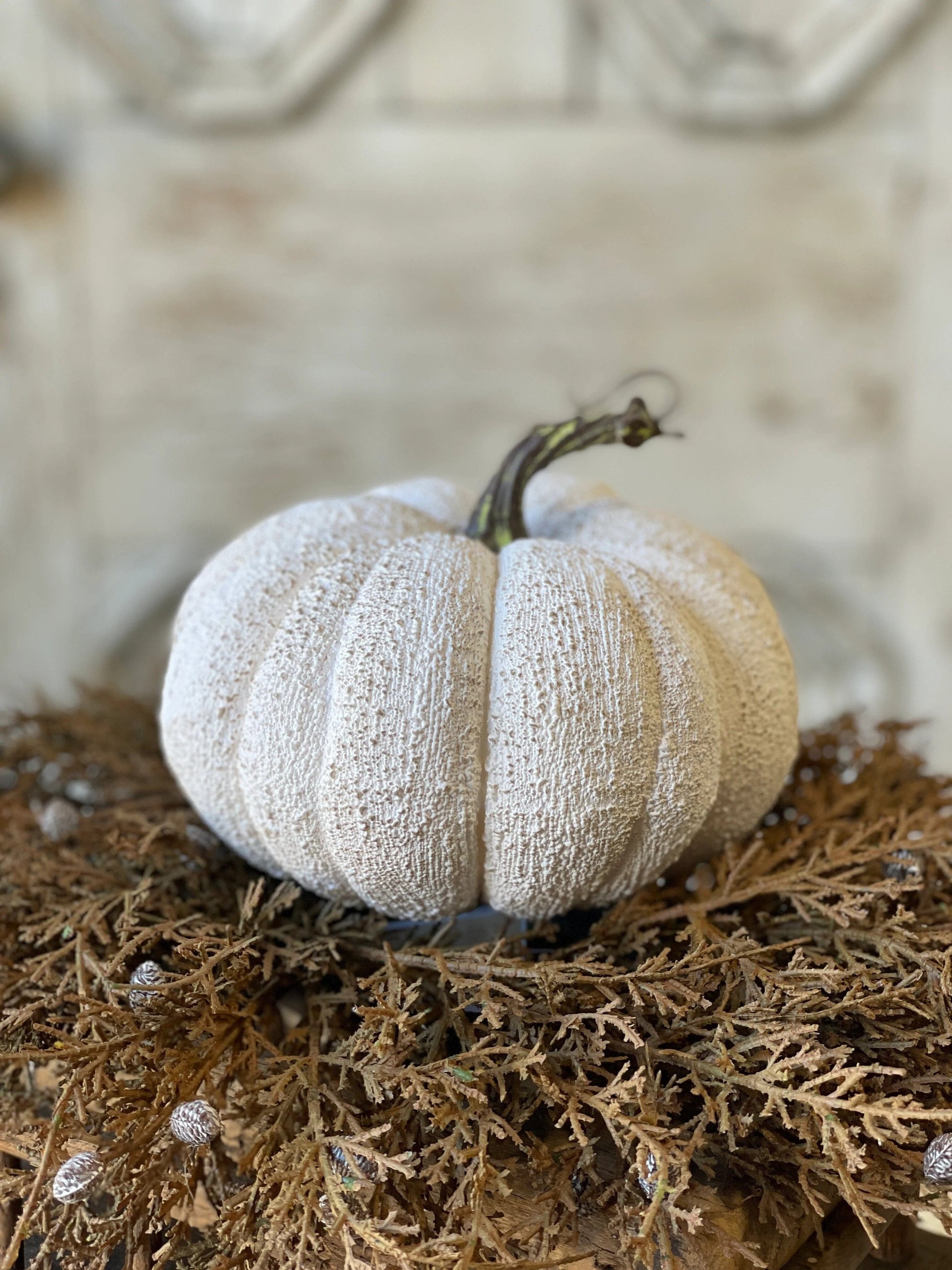 Full Moon Pumpkins - Home Treasures Co