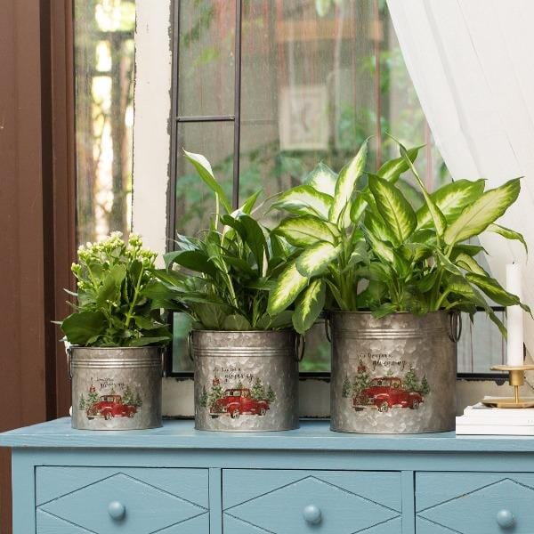 Vintage Galvanized Metal Buckets - Set of 3 - Home Treasures Co
