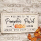 WELCOME TO THE PUMPKIN PATCH RUSTIC METAL WALL SIGN - Home Treasures Co